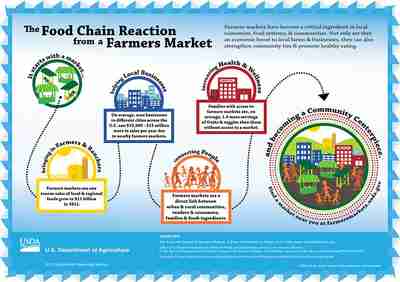 The food chain reaction to a Farmer's Market